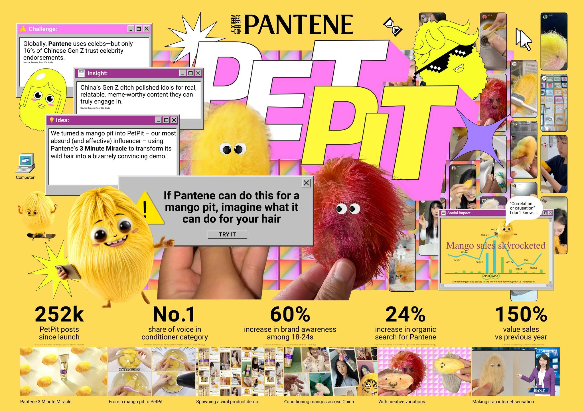 PET PIT