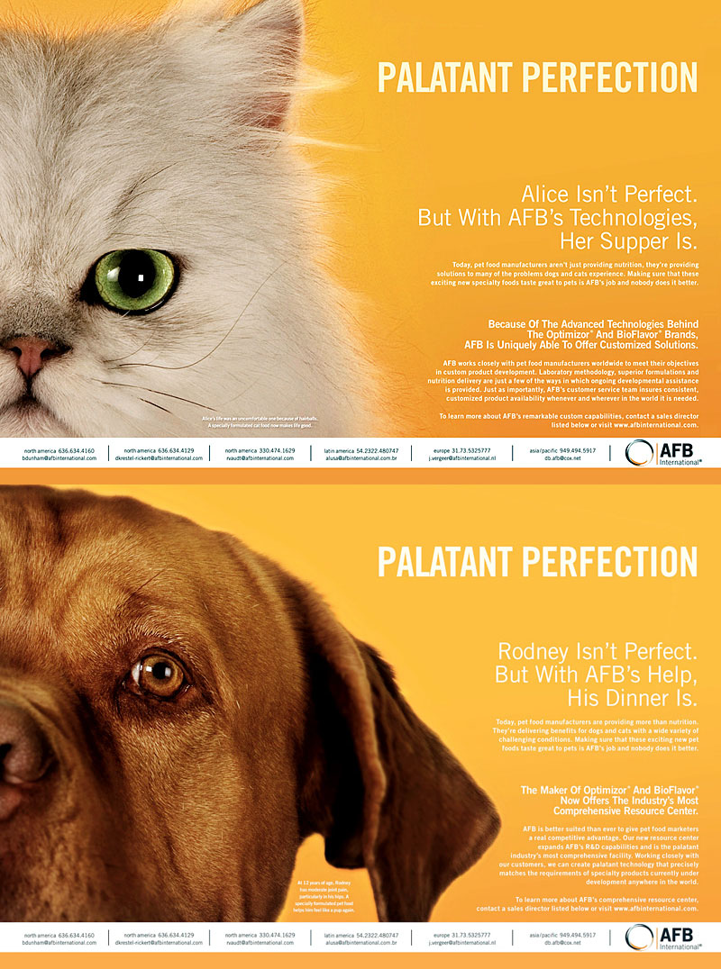 CAT, RABBIT, DOG