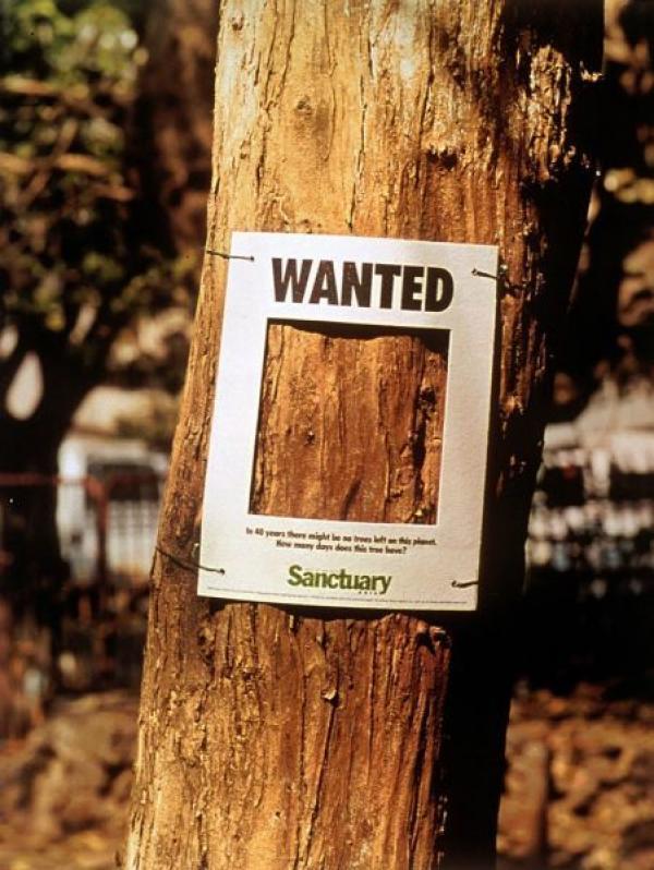SAVE TREES