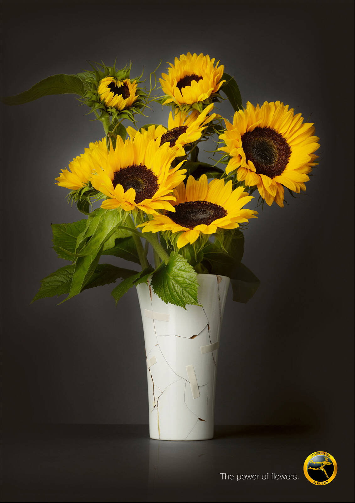 BROKEN VASE