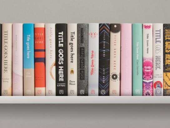 WINSTON FLETCHER FICTION PRIZE