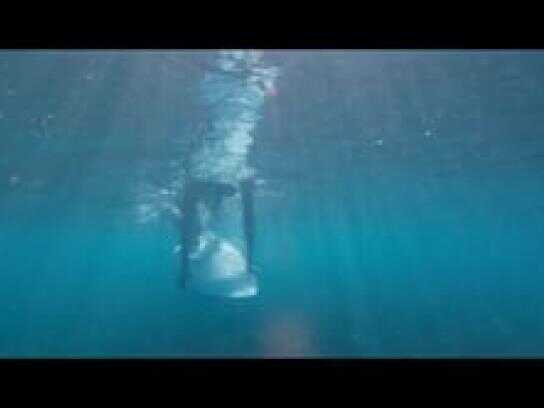 BACK TO WATER