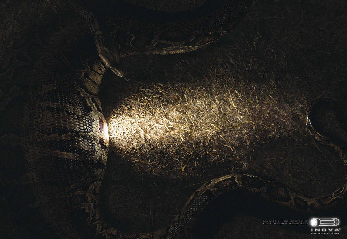 ANACONDA, CROCODILE, TIGER