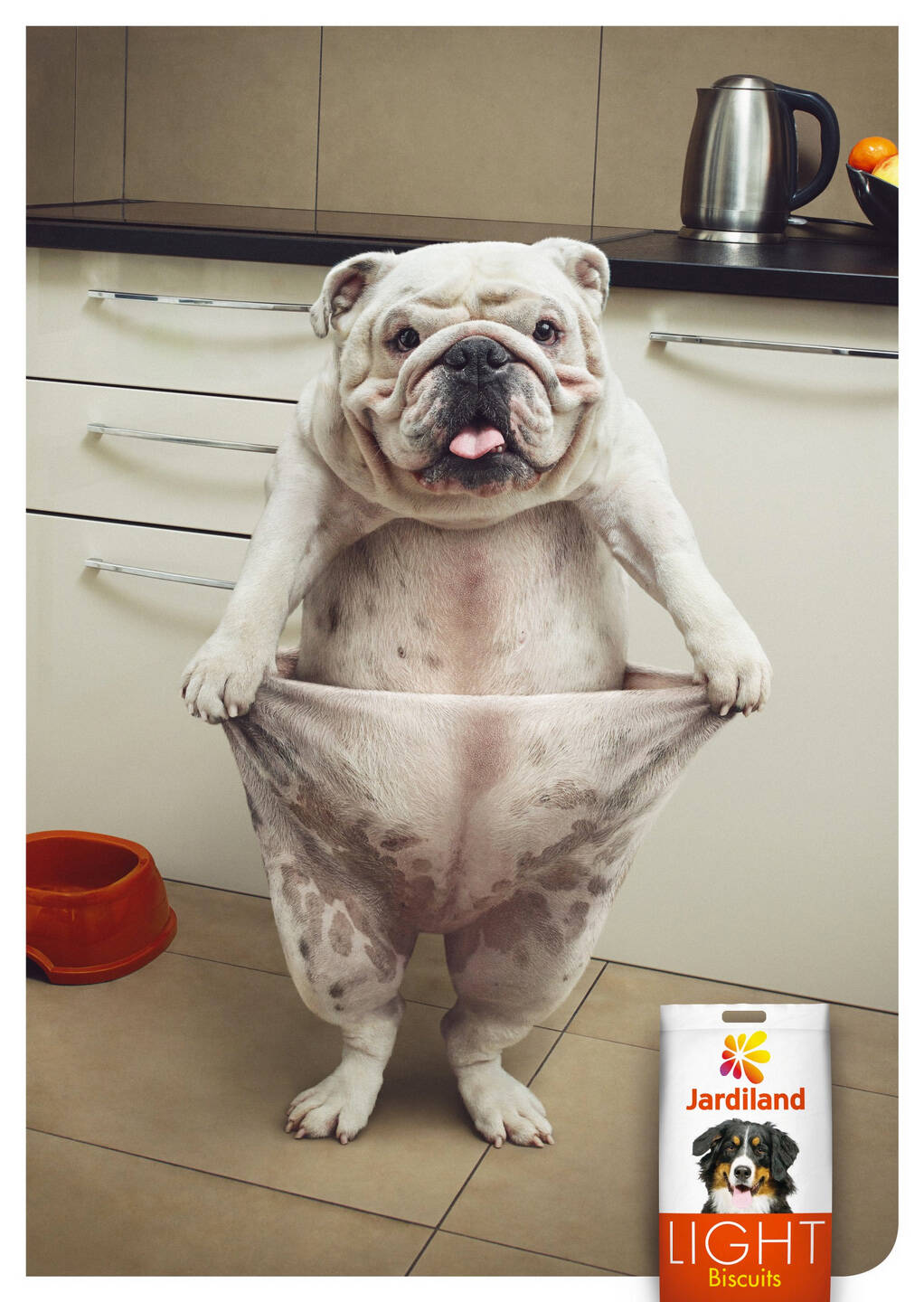 DOG FAT PANTS