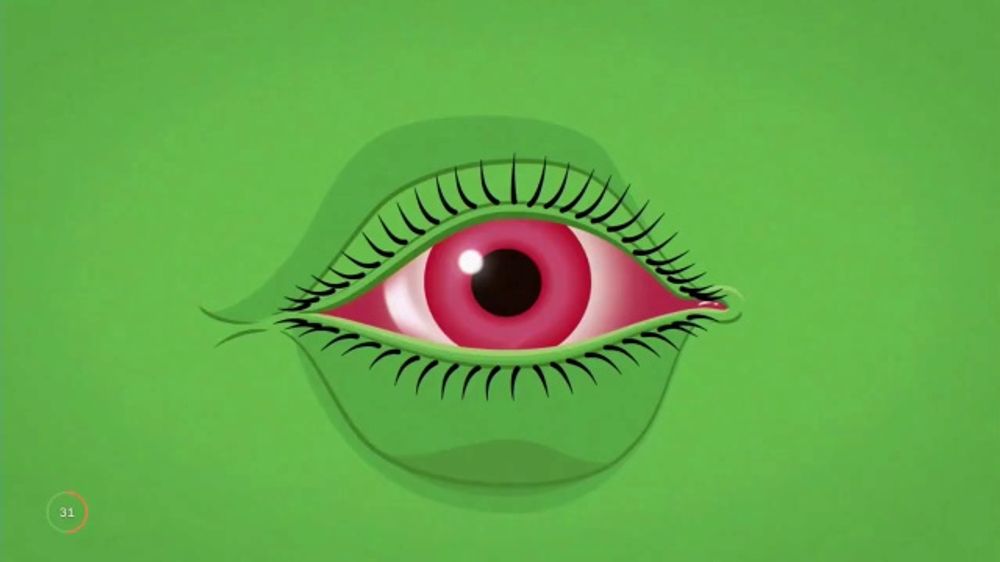 EYEDAR