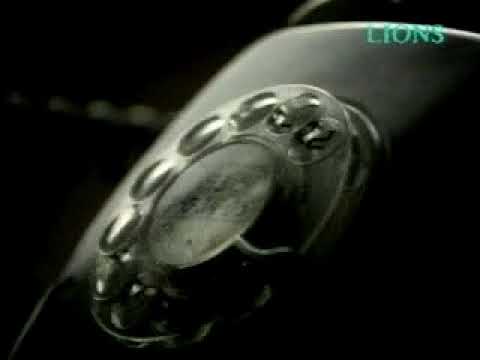TELEPHONE