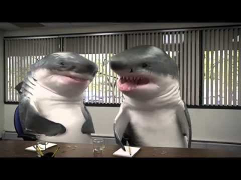 FOCUS GROUP