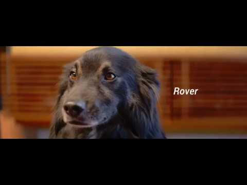 ADOPTABLE TRENDS