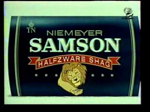 THE LION