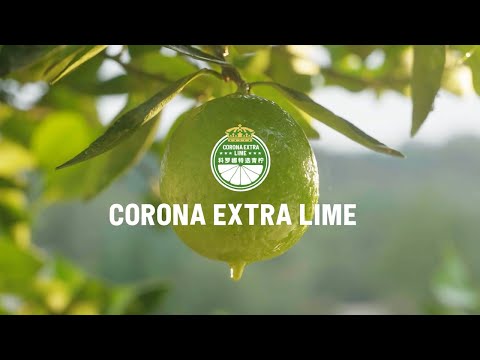 Corona Extra Lime