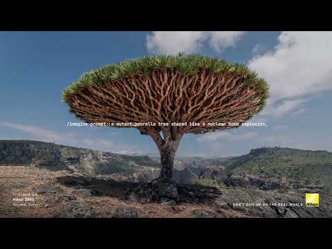 NATURAL INTELLIGENCE