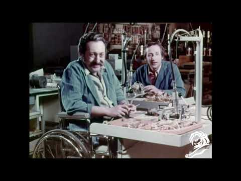 LES HANDICAPES