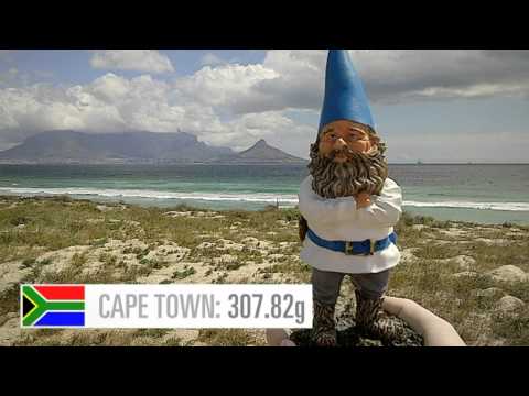 THE GNOME EXPERIMENT