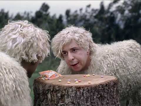 SHEEP BOYS