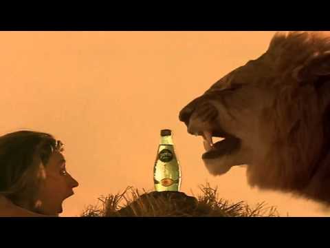 LE LION ET LA LIONNE