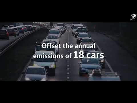 MEDIA THAT EATS POLLUTION