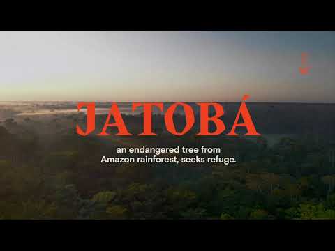 THE REFUGEE JATOBA