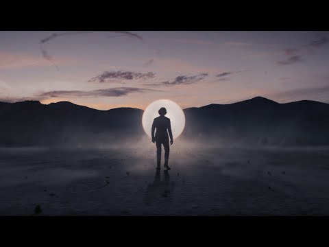 THE SINGULARITY