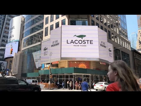 CROCODILE FREE
