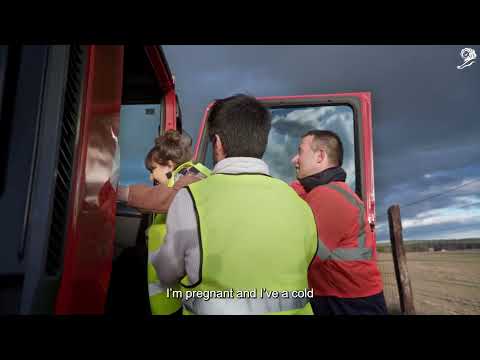 LIVE INSURANCE BY MAPFRE