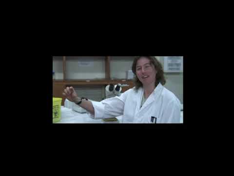 WORLD’S SMALLEST AD