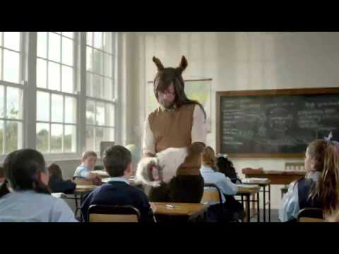 THE TEACHER