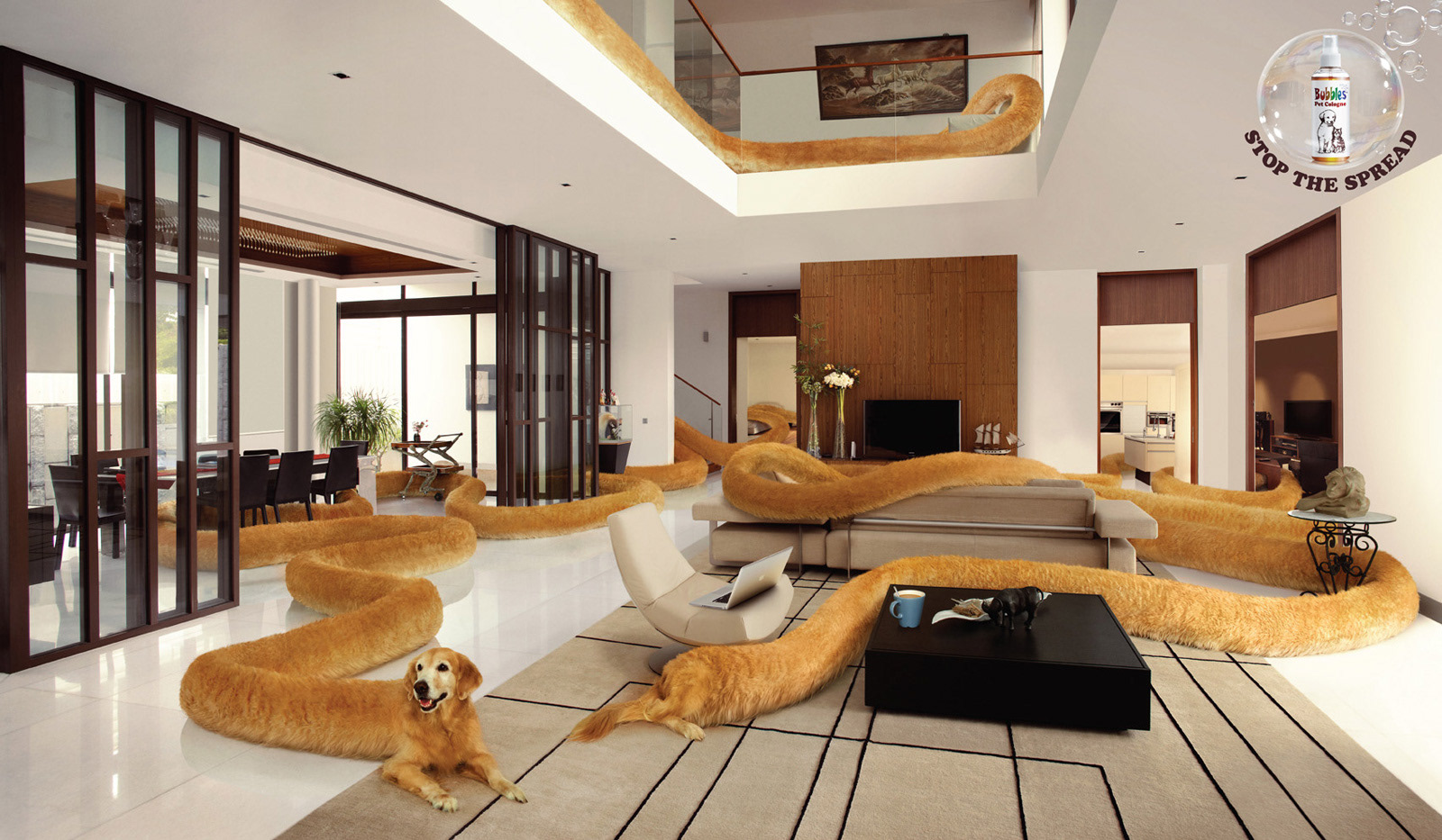 CAT, DOG, RABBIT