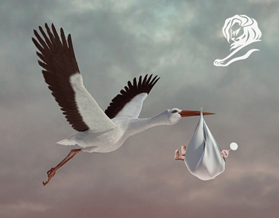 STORK