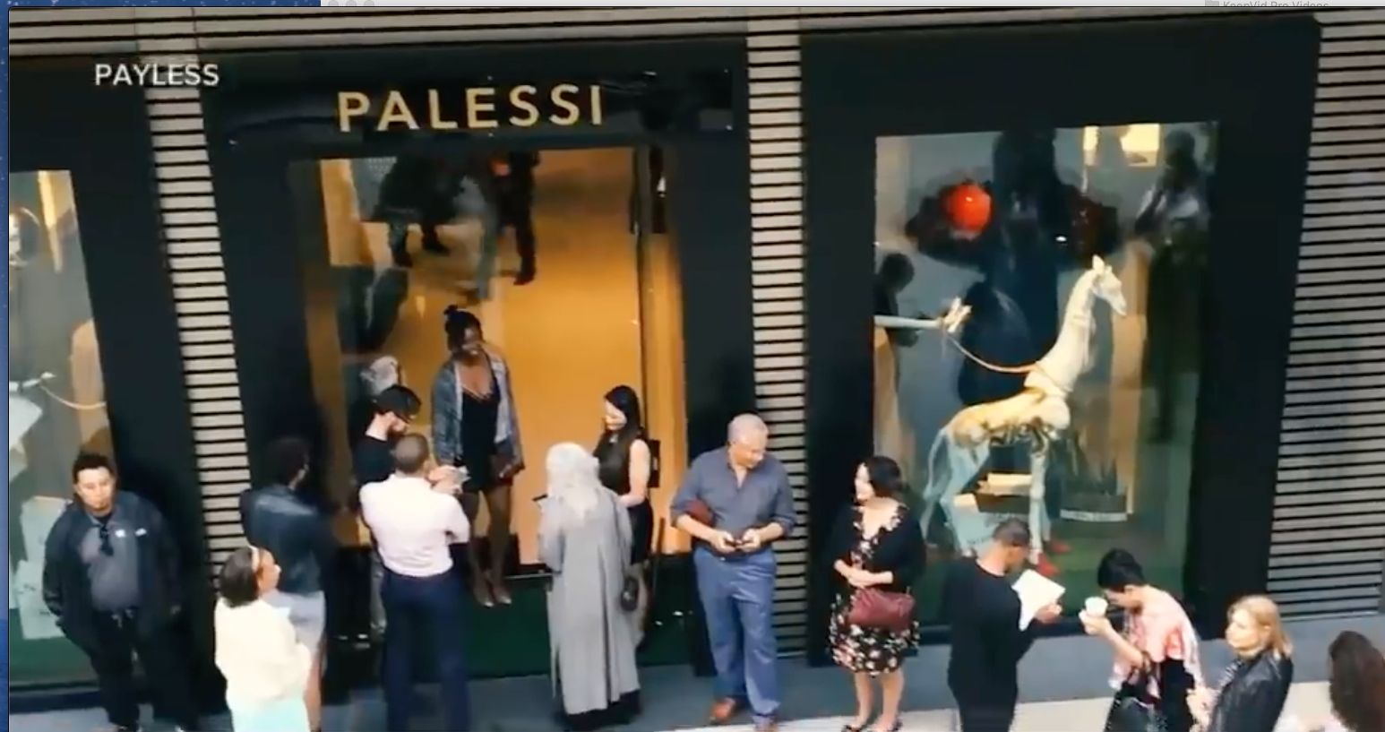 PALESSI