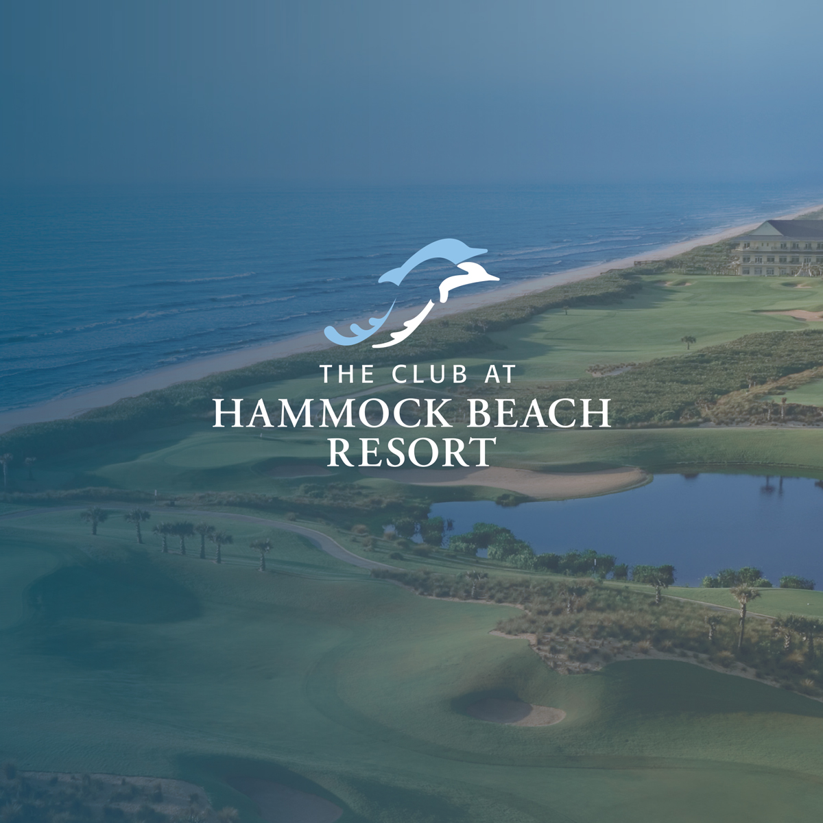 HAMMOCK