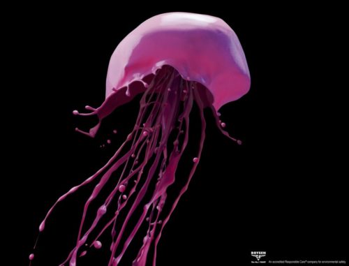 SNAIL, JELLYFISH