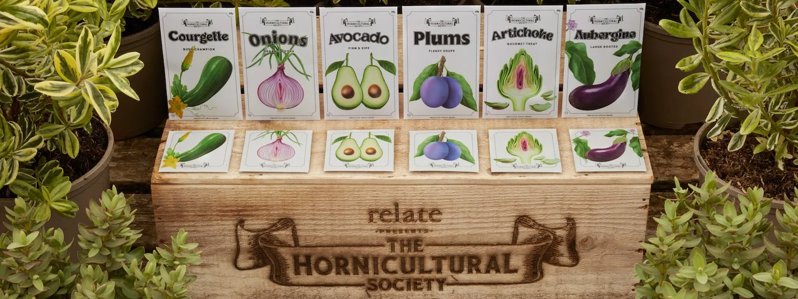 THE HORNICULTURAL SOCIETY