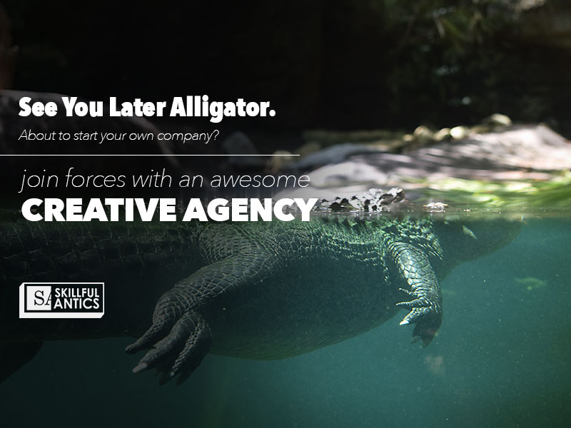 ALLIGATOR, SLOTH, MONKEYS, JAGUAR