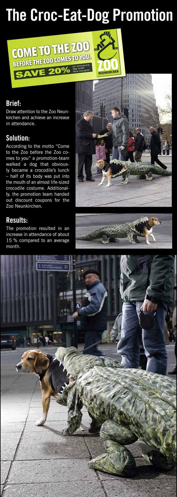 THE CROC-EATS-DOG PROMOTION