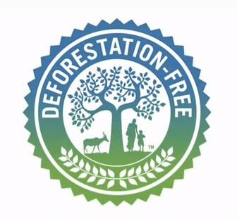 EPIDEMICS + CATASTROPHE + DEFORESTATION + EDUCATION