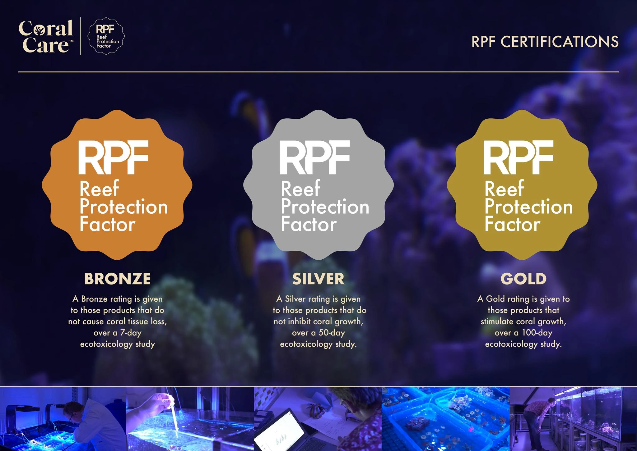 REEF PROTECTION FACTOR - image 2