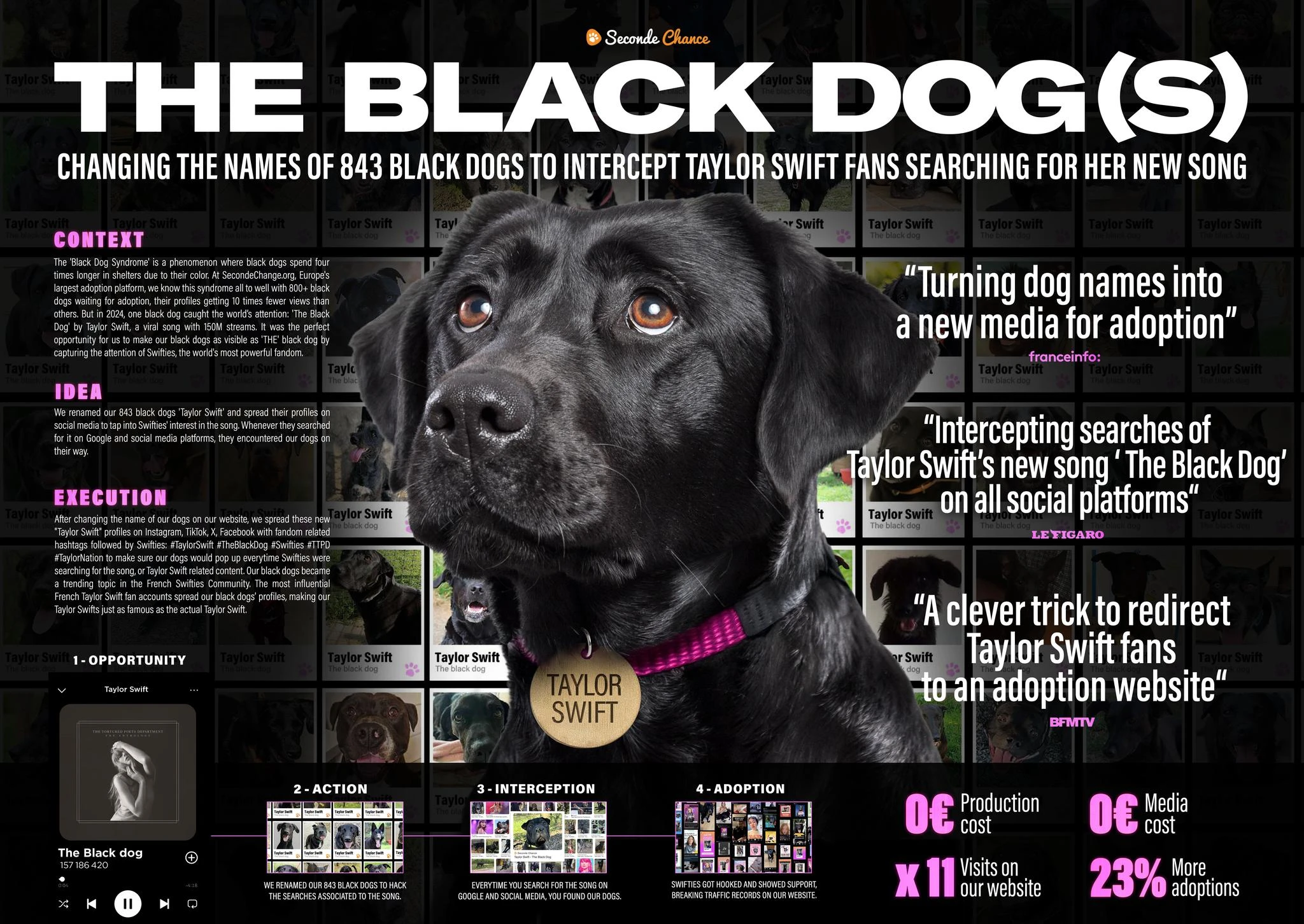 The Black Dog(s) - image 1
