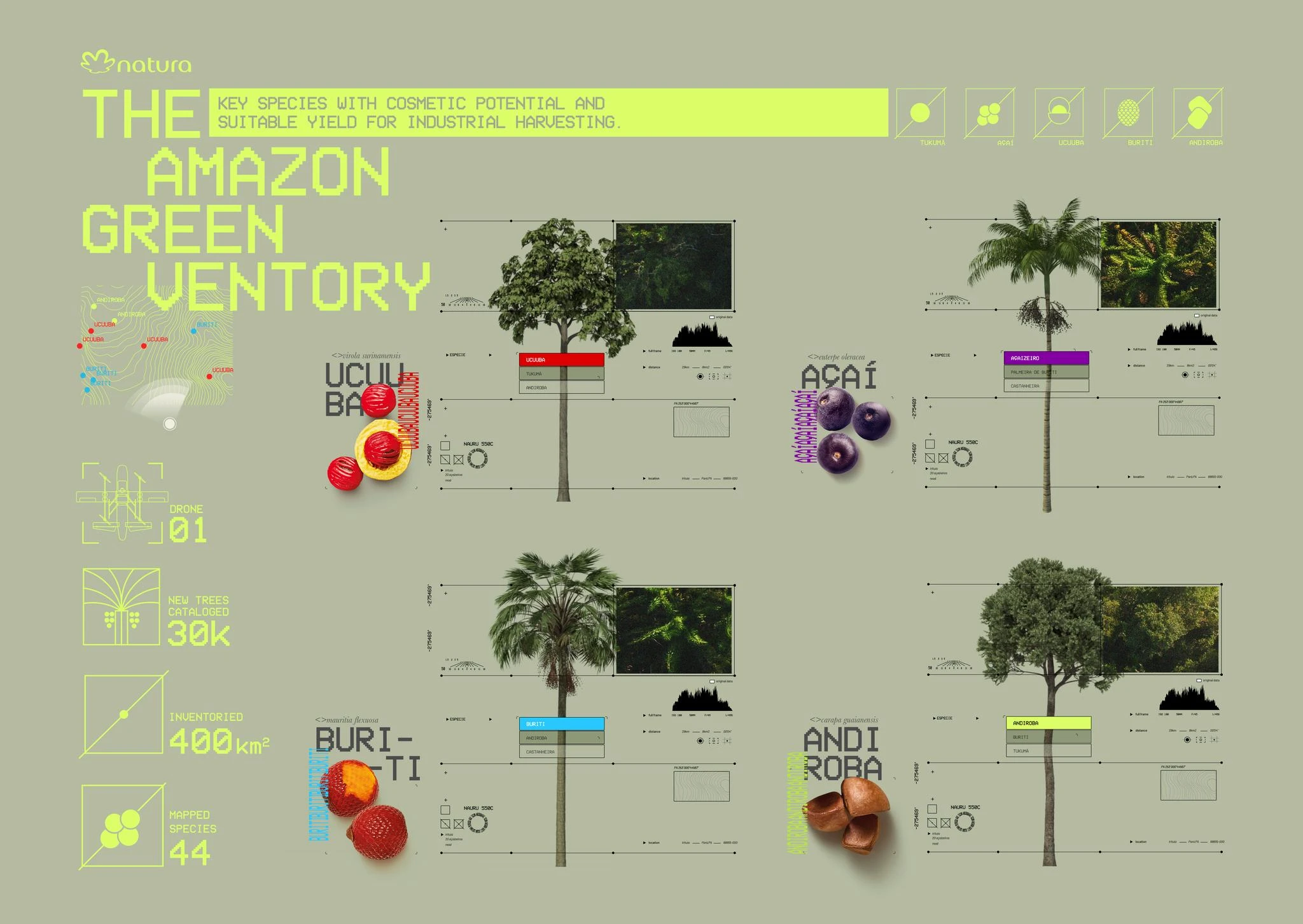 THE AMAZON GREENVENTORY - image 2