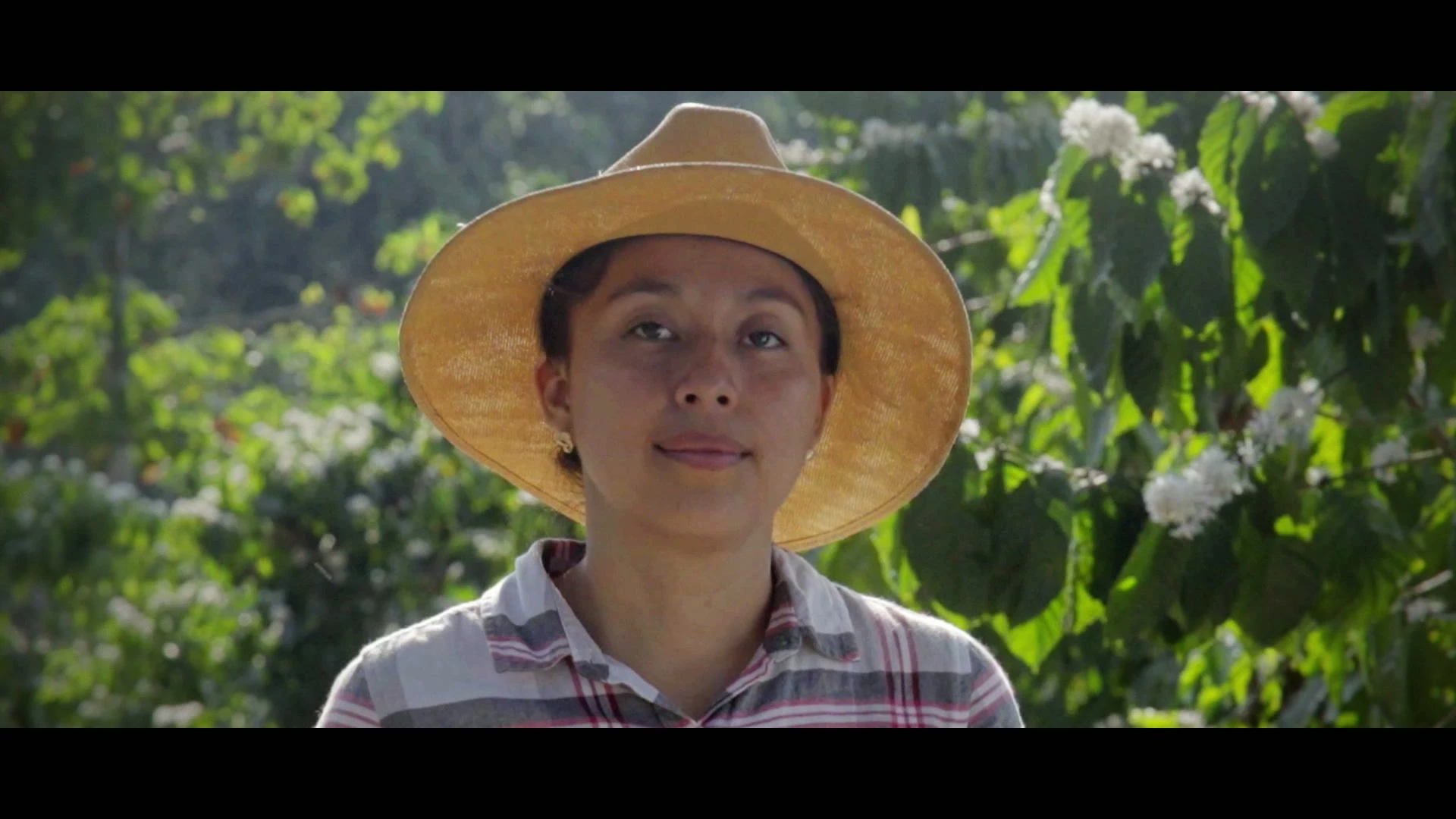 NESCAFÉ - PLANTLETS FOR FUTURE