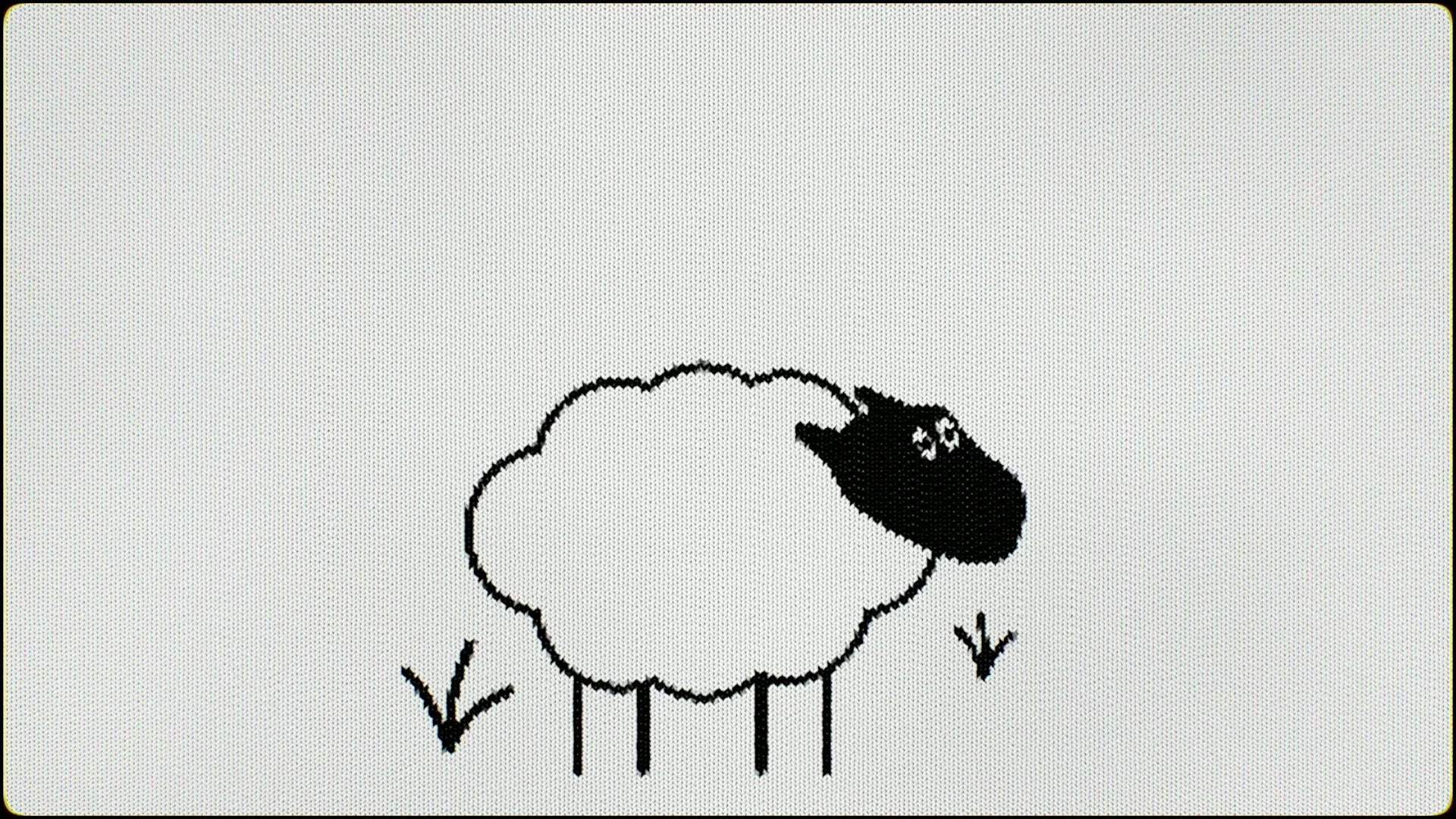 RAINBOW WOOL