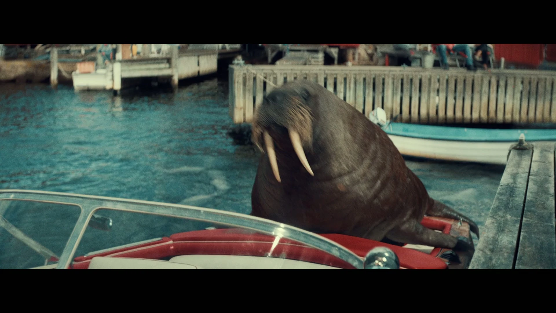 WALRUS WHIZZER