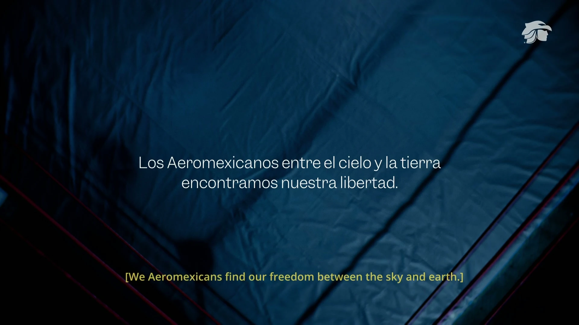 Aeromexicanos
