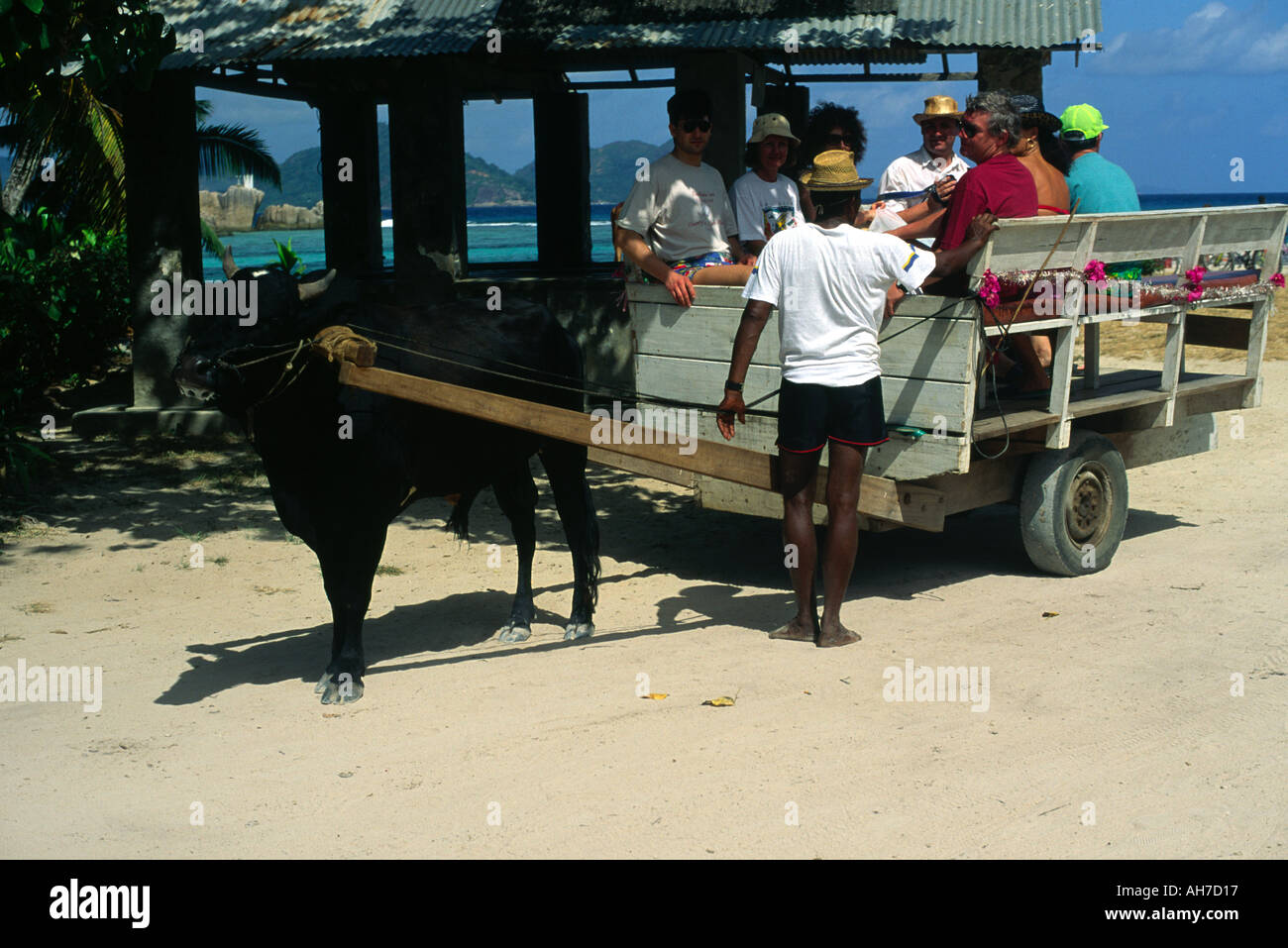 FISHERMAN, FOREST, KIDS, OLD MAN, OX CART - image 1