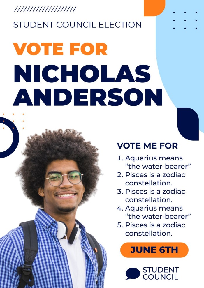 ELECTIONS POSTER