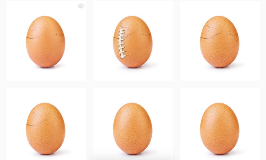 WORLD RECORD EGG