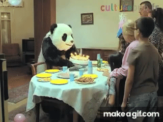 NEVER SAY NO TO PANDA