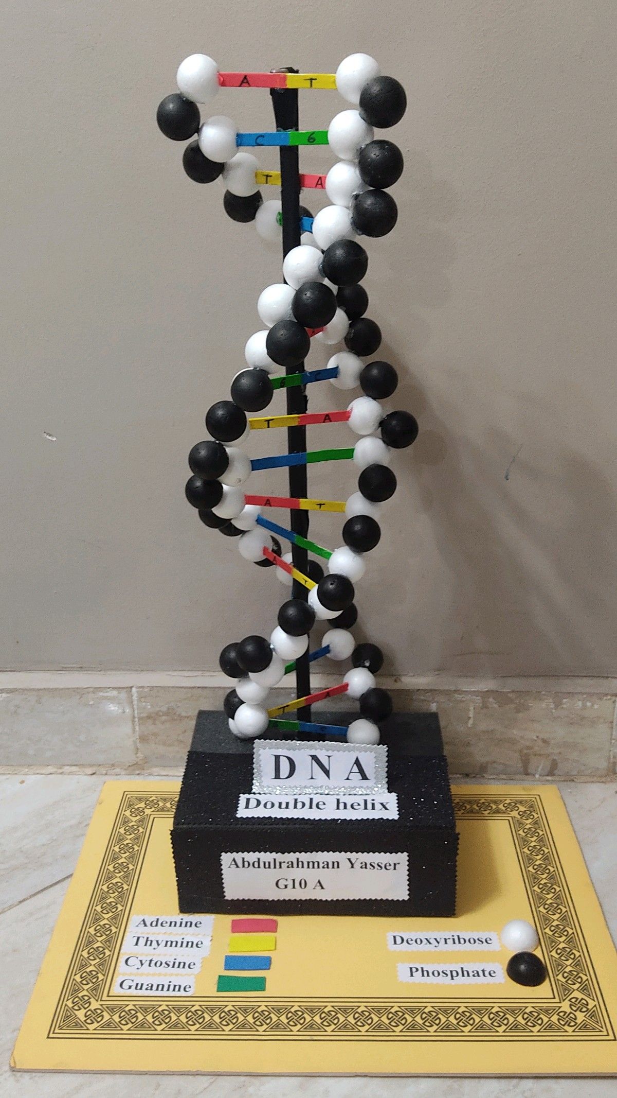THE DNA PROJECT - image 1