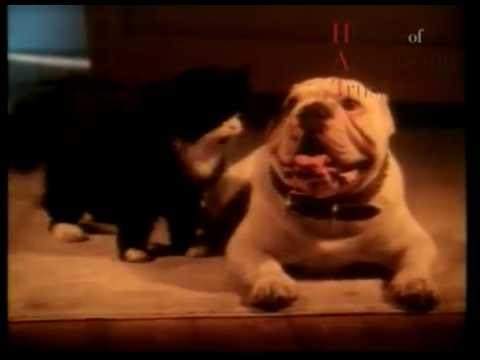 FURRY FRIENDS - image 2