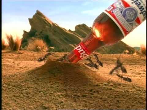 ANTS - image 2