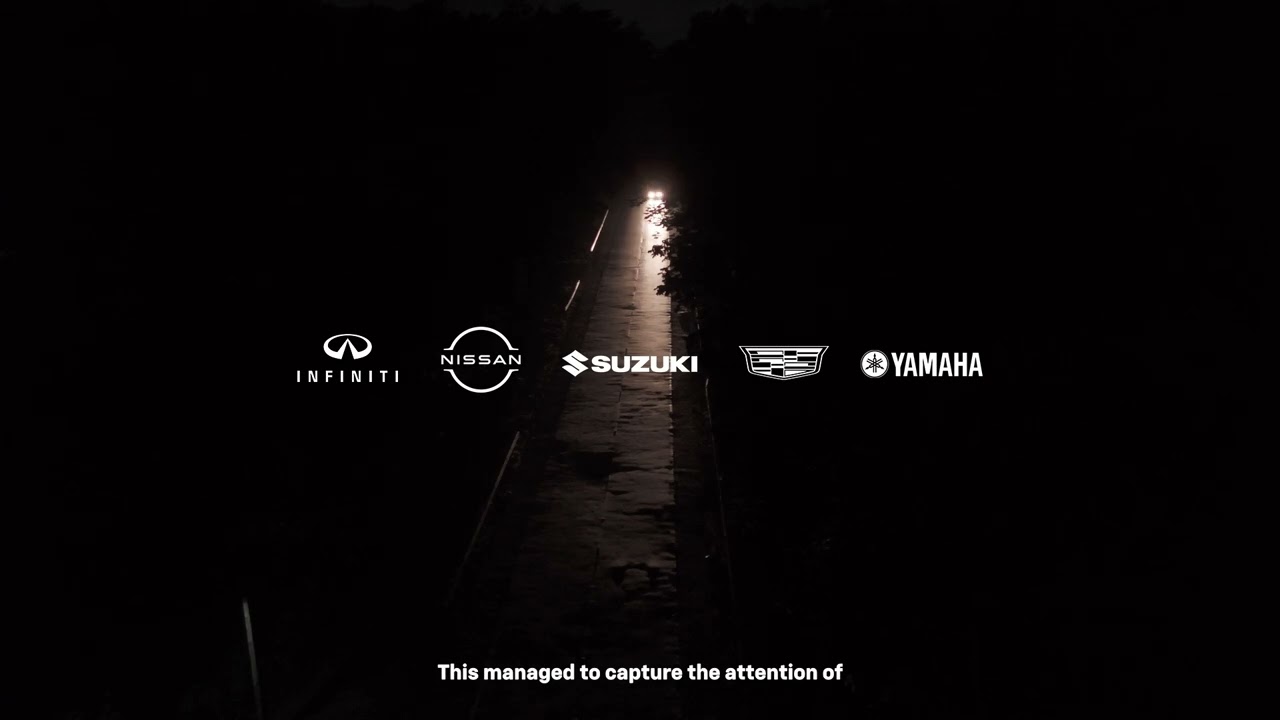 NIGHT SIGNALS - image 1